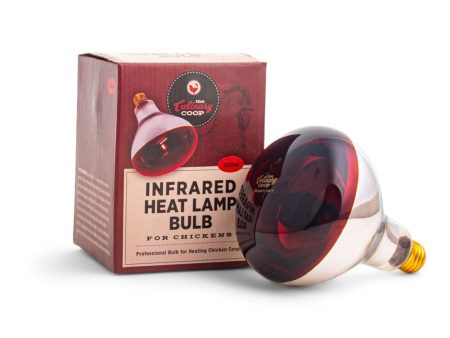 Fluker s Culinary Coop Infrared Heat Lamp Glass Bulb 250 Watt Online