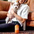 Angry Orange 20Oz Ready to Use Pet Odor Eliminator for Dogs and Cats Discount