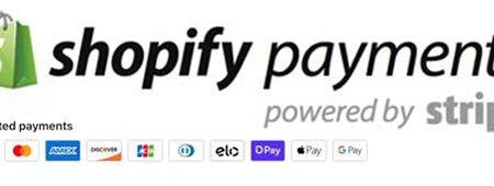 Shopify Payments (Recovery Software 2 Downloads) Discount