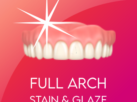 PMMA FA Gingival Staining Sale