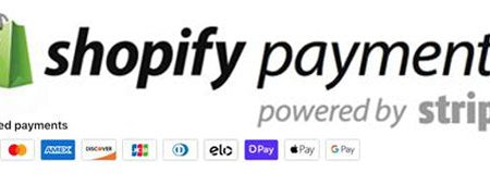 Shopify Payments (Recovery Software USB Lightweight) Online now