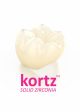 Kortz™ Solid Zirconia Online Hot Sale